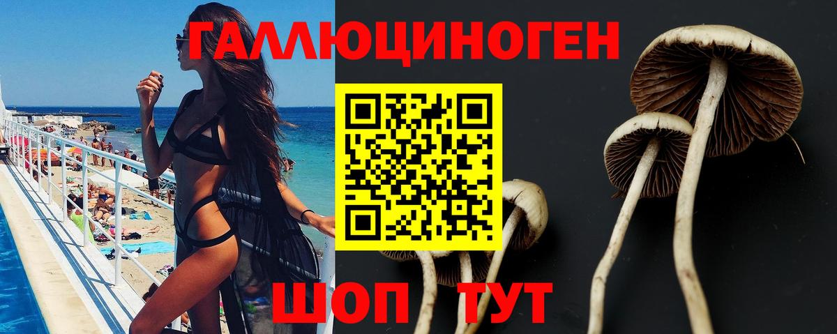 Галлюциногенные грибы Psilocybe  Псилоцибиновые грибы Magic Shrooms  Вязники  Вход с VPN 