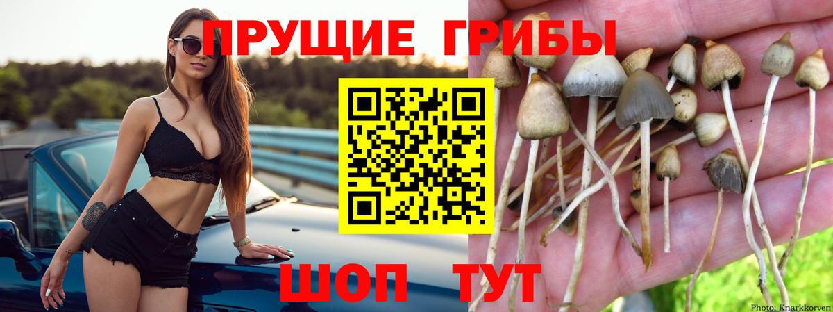 Галлюциногенные грибы ЛСД Вязники